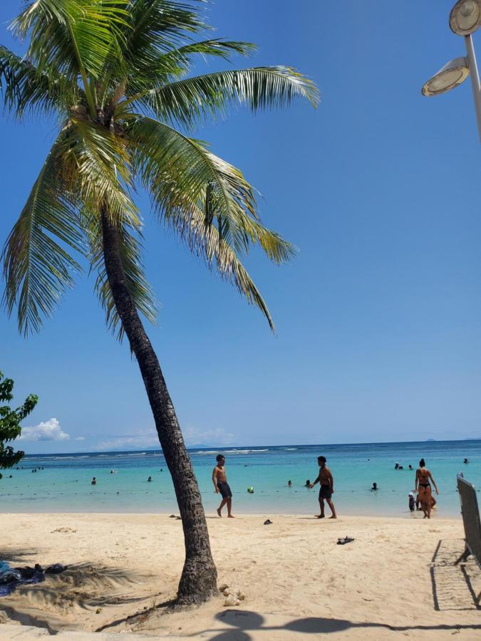 Villa L'Anjou Creole A Sainte Anne En Guadeloupe Avec Piscine Privee Et 2 Chambres Pour 4 Personnes 외부 사진