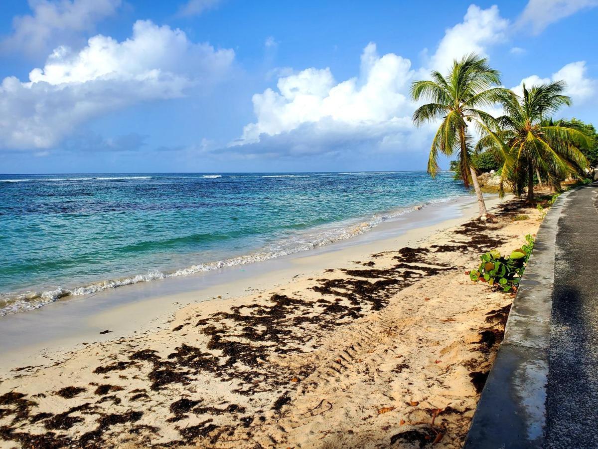 Villa L'Anjou Creole A Sainte Anne En Guadeloupe Avec Piscine Privee Et 2 Chambres Pour 4 Personnes 외부 사진