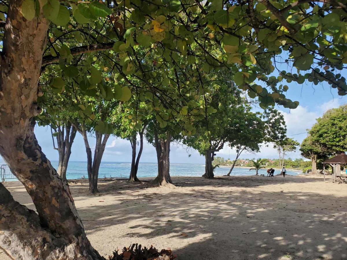 Villa L'Anjou Creole A Sainte Anne En Guadeloupe Avec Piscine Privee Et 2 Chambres Pour 4 Personnes 외부 사진