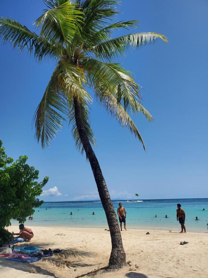 Villa L'Anjou Creole A Sainte Anne En Guadeloupe Avec Piscine Privee Et 2 Chambres Pour 4 Personnes 외부 사진