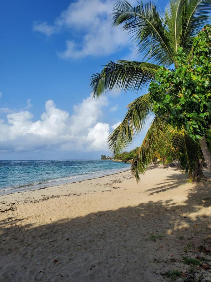 Villa L'Anjou Creole A Sainte Anne En Guadeloupe Avec Piscine Privee Et 2 Chambres Pour 4 Personnes 외부 사진