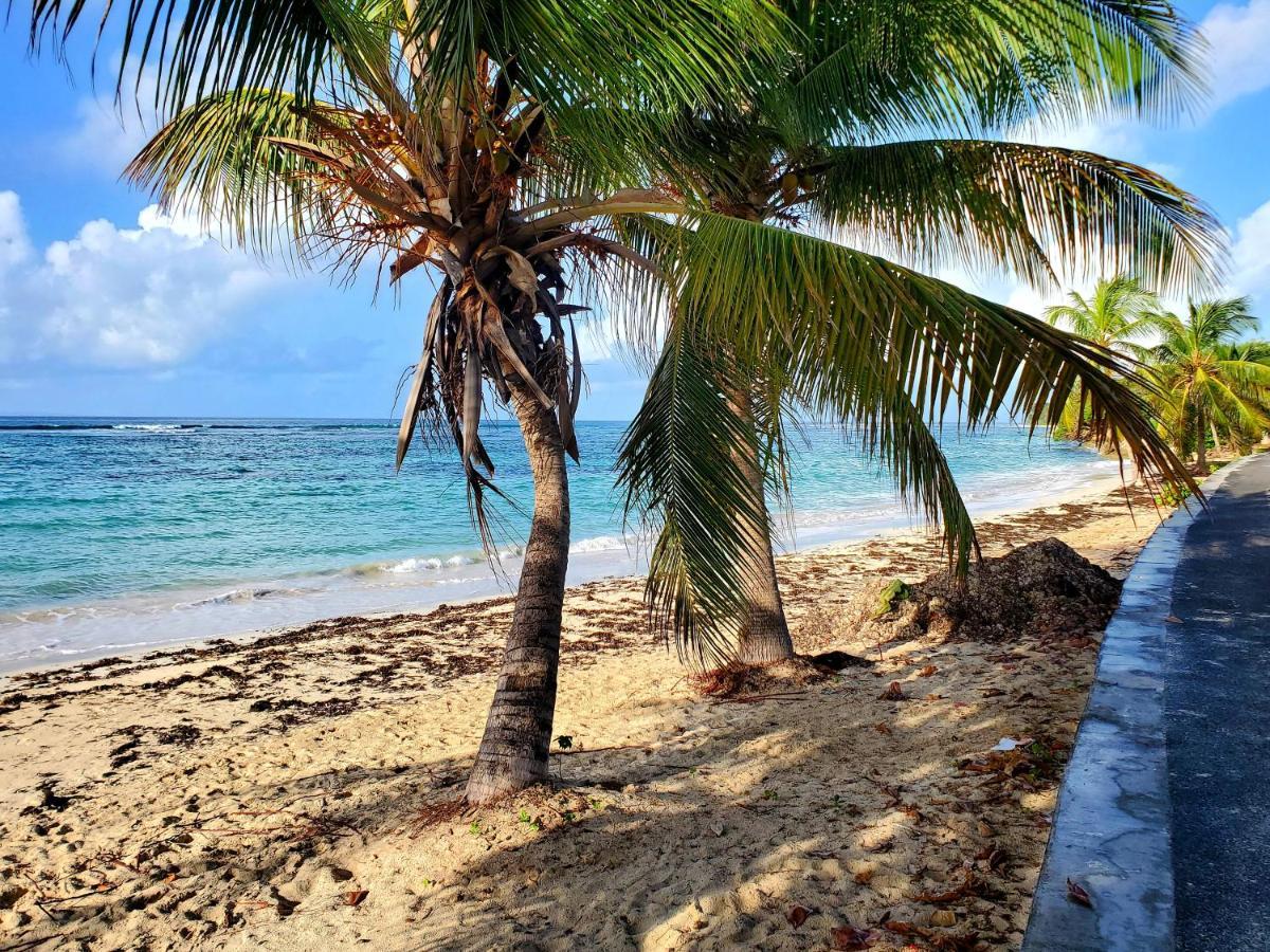 Villa L'Anjou Creole A Sainte Anne En Guadeloupe Avec Piscine Privee Et 2 Chambres Pour 4 Personnes 외부 사진