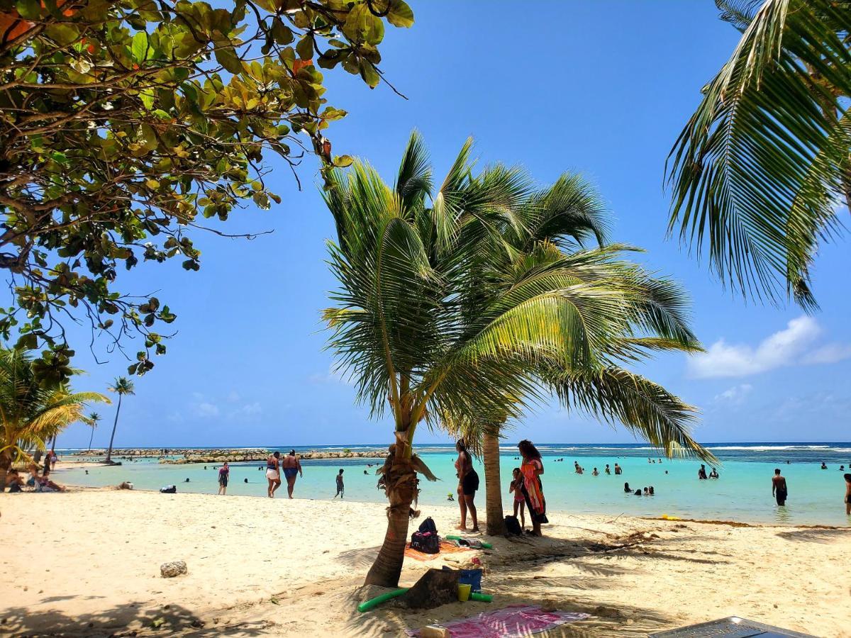 Villa L'Anjou Creole A Sainte Anne En Guadeloupe Avec Piscine Privee Et 2 Chambres Pour 4 Personnes 외부 사진