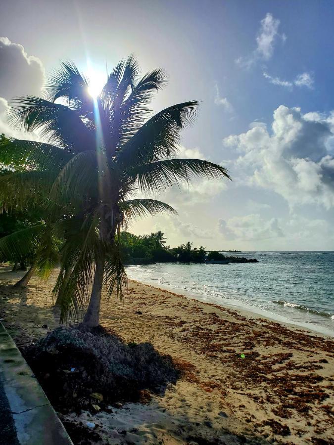 Villa L'Anjou Creole A Sainte Anne En Guadeloupe Avec Piscine Privee Et 2 Chambres Pour 4 Personnes 외부 사진
