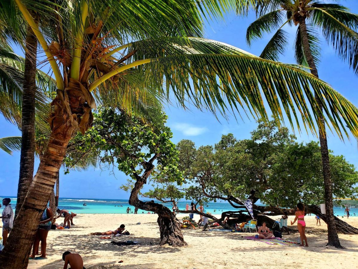 Villa L'Anjou Creole A Sainte Anne En Guadeloupe Avec Piscine Privee Et 2 Chambres Pour 4 Personnes 외부 사진
