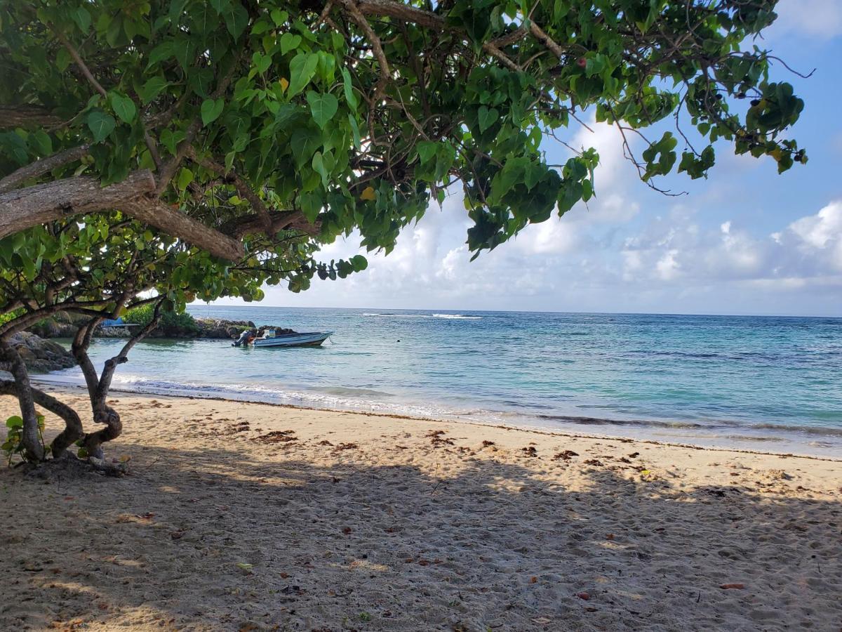 Villa L'Anjou Creole A Sainte Anne En Guadeloupe Avec Piscine Privee Et 2 Chambres Pour 4 Personnes 외부 사진