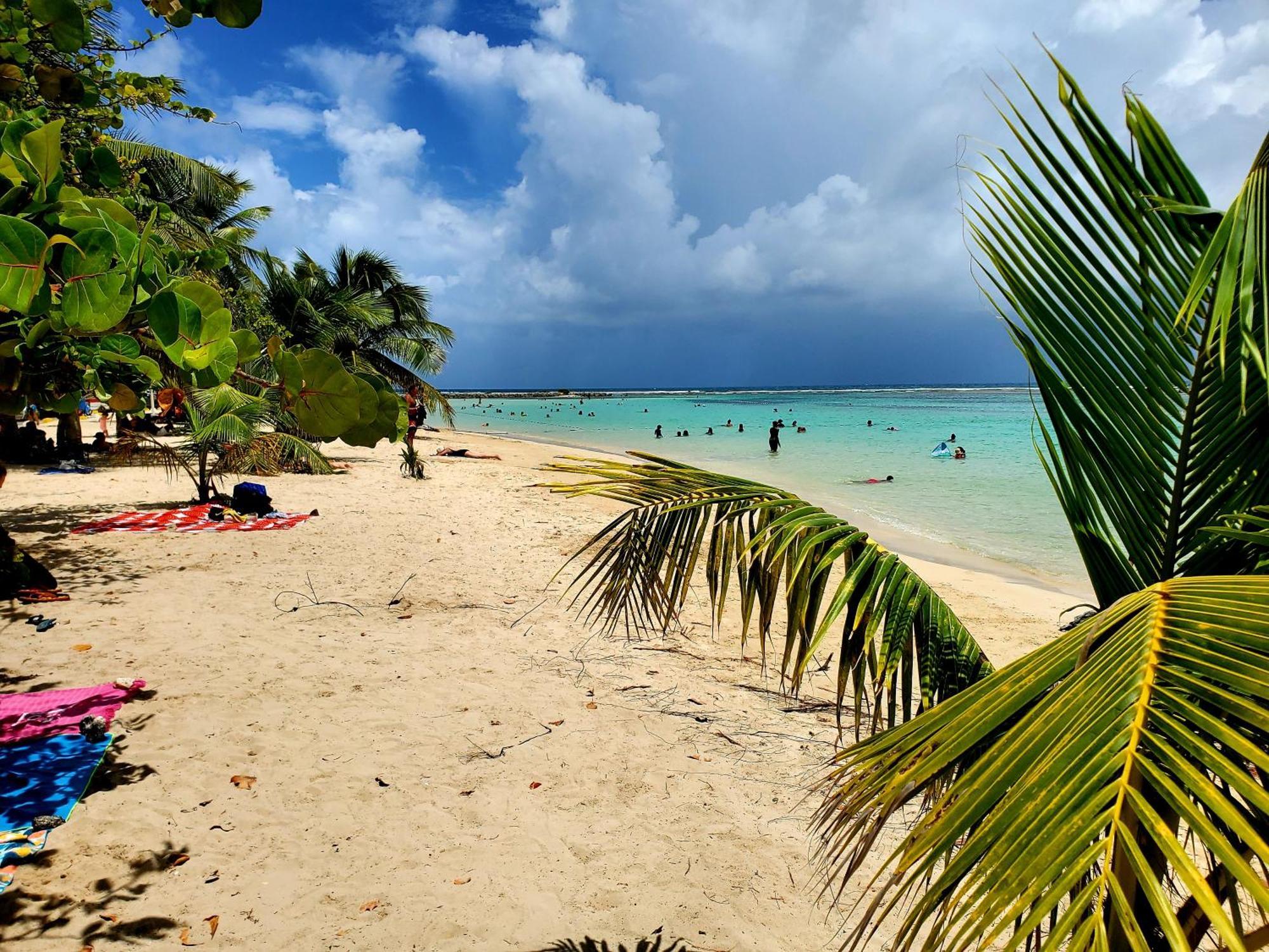 Villa L'Anjou Creole A Sainte Anne En Guadeloupe Avec Piscine Privee Et 2 Chambres Pour 4 Personnes 외부 사진