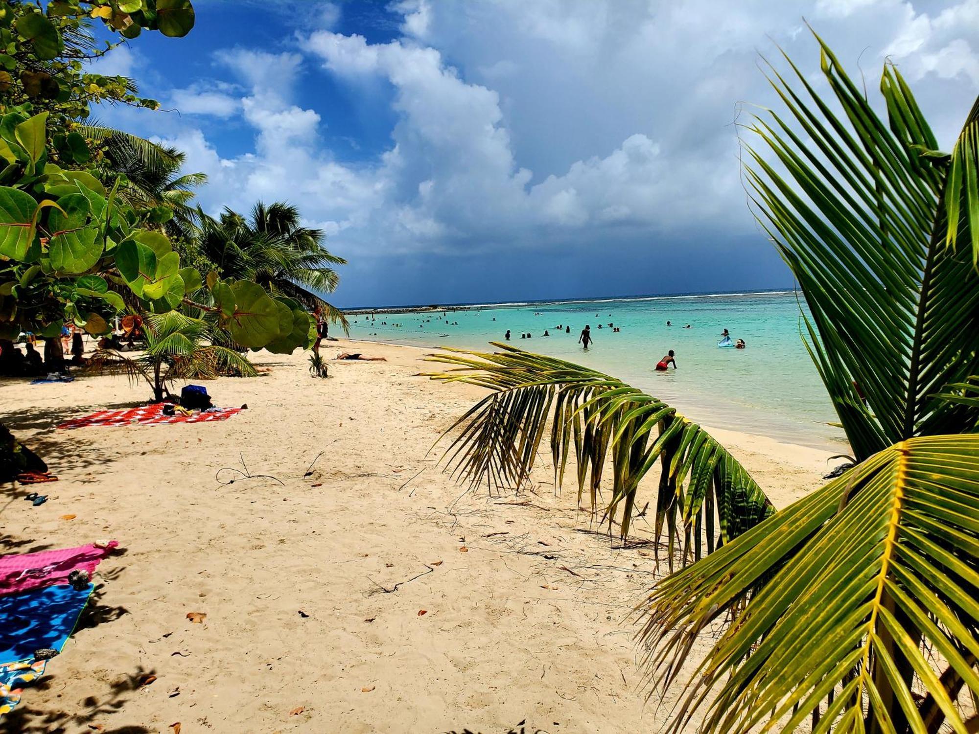 Villa L'Anjou Creole A Sainte Anne En Guadeloupe Avec Piscine Privee Et 2 Chambres Pour 4 Personnes 외부 사진